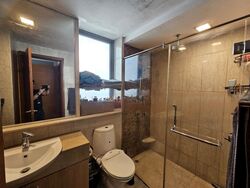 The Raintree (D21), Condominium #465921321